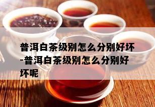 普洱白茶级别怎么分别好坏-普洱白茶级别怎么分别好坏呢