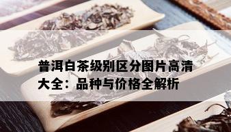 普洱白茶级别区分图片高清大全：品种与价格全解析