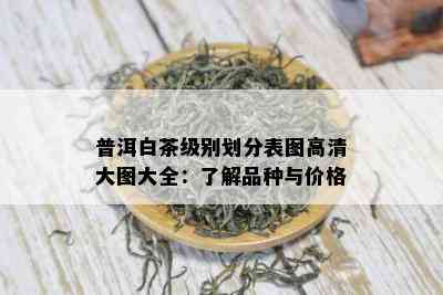 普洱白茶级别划分表图高清大图大全：了解品种与价格