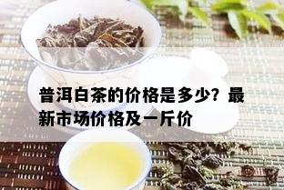 普洱白茶的价格是多少？最新市场价格及一斤价