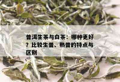 普洱生茶与白茶：哪种更好？比较生普、熟普的特点与区别