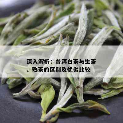 深入解析：普洱白茶与生茶、熟茶的区别及优劣比较