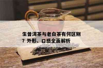 生普洱茶与老白茶有何区别？外形、口感全面解析