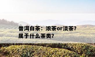 普洱白茶：浓茶or淡茶？属于什么茶类？