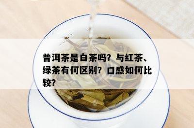 普洱茶是白茶吗？与红茶、绿茶有何区别？口感如何比较？