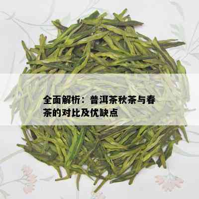 全面解析：普洱茶秋茶与春茶的对比及优缺点