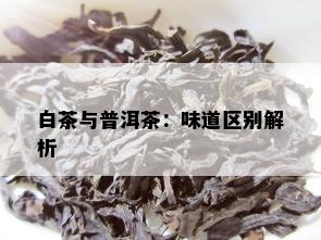 白茶与普洱茶：味道区别解析