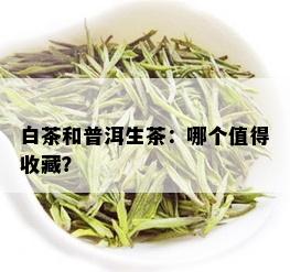 白茶和普洱生茶：哪个值得收藏？