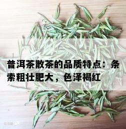 普洱茶散茶的品质特点：条索粗壮肥大，色泽褐红