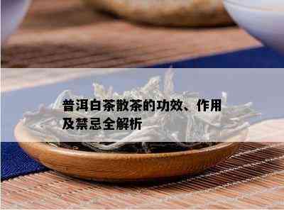 普洱白茶散茶的功效、作用及禁忌全解析