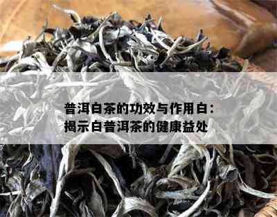 普洱白茶的功效与作用白：揭示白普洱茶的健康益处