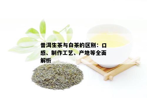 普洱生茶与白茶的区别：口感、制作工艺、产地等全面解析