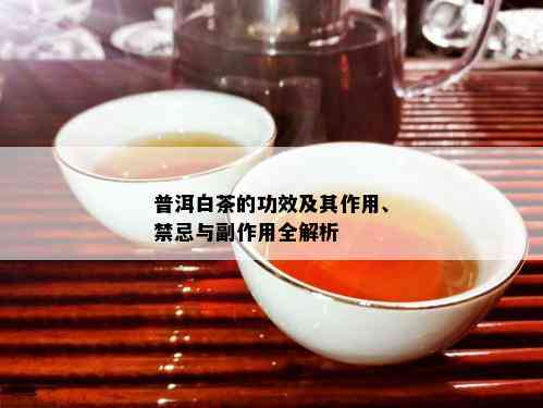 普洱白茶的功效及其作用、禁忌与副作用全解析