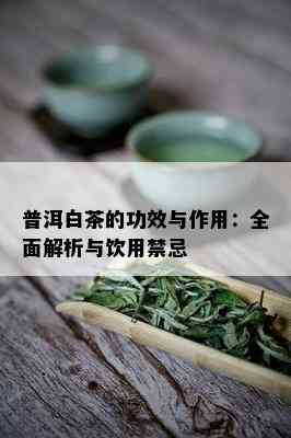 普洱白茶的功效与作用：全面解析与饮用禁忌