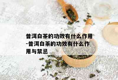 普洱白茶的功效有什么作用-普洱白茶的功效有什么作用与禁忌