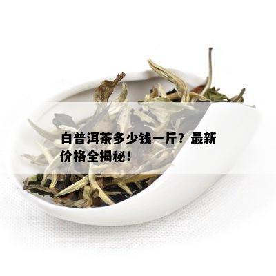 白普洱茶多少钱一斤？最新价格全揭秘！