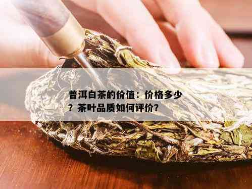 普洱白茶的价值：价格多少？茶叶品质如何评价？