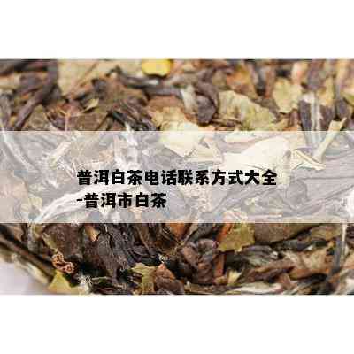 普洱白茶电话联系方式大全-普洱市白茶