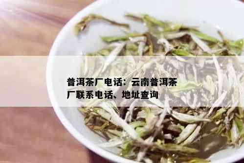 普洱茶厂电话：云南普洱茶厂联系电话、地址查询