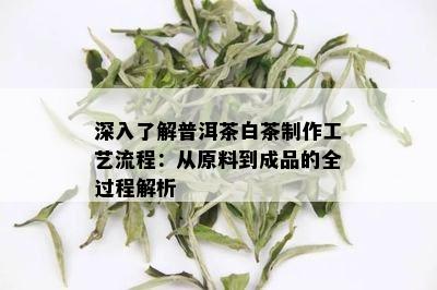 深入了解普洱茶白茶制作工艺流程：从原料到成品的全过程解析