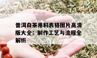 普洱白茶用料表格图片高清版大全：制作工艺与流程全解析