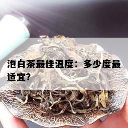 泡白茶更佳温度：多少度最适宜？