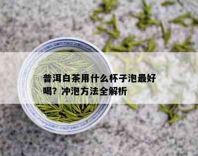 普洱白茶用什么杯子泡更好喝？冲泡方法全解析