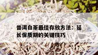 普洱白茶更佳存放方法：延长保质期的关键技巧