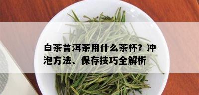 白茶普洱茶用什么茶杯？冲泡方法、保存技巧全解析