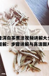 普洱白茶煮法视频讲解大全图解：步骤详解与高清图片