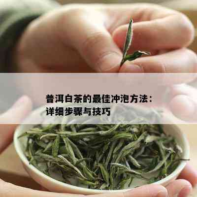 普洱白茶的更佳冲泡方法：详细步骤与技巧