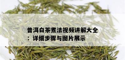 普洱白茶煮法视频讲解大全：详细步骤与图片展示