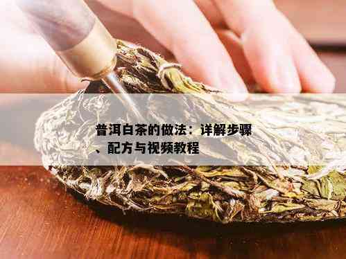 普洱白茶的做法：详解步骤、配方与视频教程