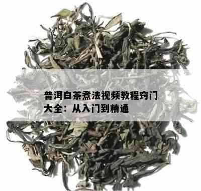 普洱白茶煮法视频教程窍门大全：从入门到精通