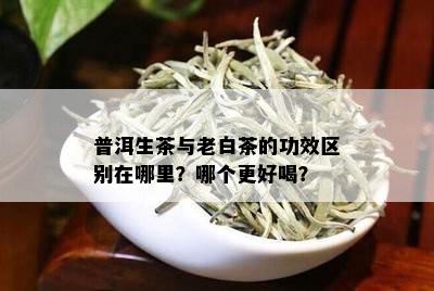 普洱生茶与老白茶的功效区别在哪里？哪个更好喝？