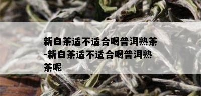 新白茶适不适合喝普洱熟茶-新白茶适不适合喝普洱熟茶呢