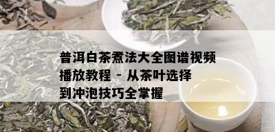 普洱白茶煮法大全图谱视频播放教程 - 从茶叶选择到冲泡技巧全掌握