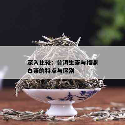 深入比较：普洱生茶与福鼎白茶的特点与区别