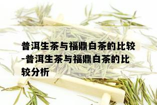 普洱生茶与福鼎白茶的比较-普洱生茶与福鼎白茶的比较分析