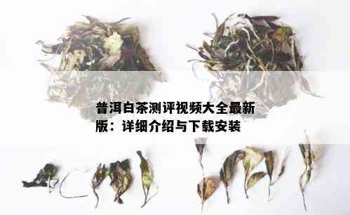 普洱白茶测评视频大全最新版：详细介绍与下载安装