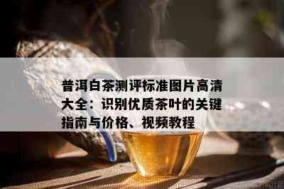 普洱白茶测评标准图片高清大全：识别优质茶叶的关键指南与价格、视频教程