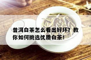 普洱白茶怎么看出好坏？教你如何挑选优质白茶！