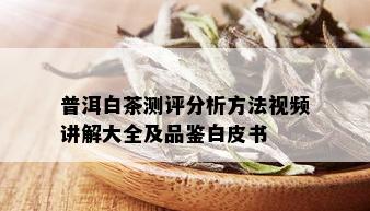 普洱白茶测评分析方法视频讲解大全及品鉴白皮书