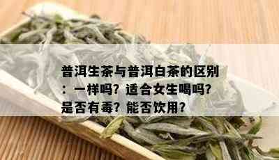 普洱生茶与普洱白茶的区别：一样吗？适合女生喝吗？是否有？能否饮用？