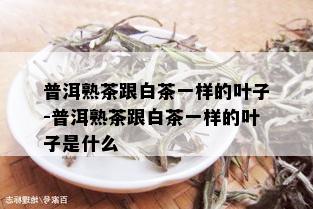 普洱熟茶跟白茶一样的叶子-普洱熟茶跟白茶一样的叶子是什么