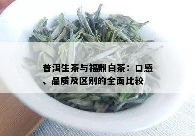 普洱生茶与福鼎白茶：口感、品质及区别的全面比较