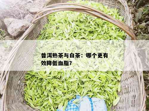 普洱熟茶与白茶：哪个更有效降低血脂？