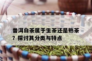 普洱白茶属于生茶还是熟茶？探讨其分类与特点