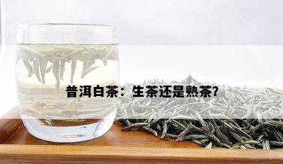 普洱白茶：生茶还是熟茶？