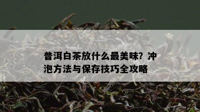 普洱白茶放什么最美味？冲泡方法与保存技巧全攻略